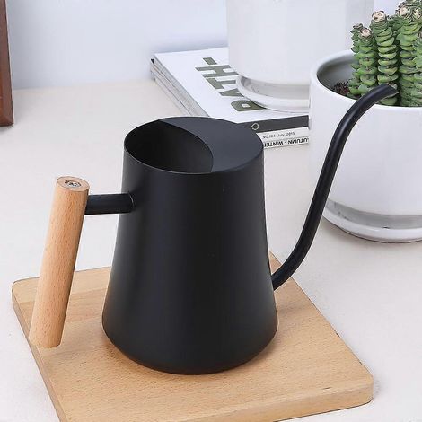 Arrosoir à long bec en acier inoxydable pour plantes d'intérieur et succulentes (1/5)
