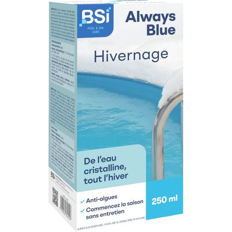BSI - Hivernage - Liquide - Pour Hiverner l'Eau De Piscine - Contre La Saleté Et Les Dépôts - 500Ml