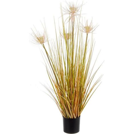 Planta desértica en maceta x4f h9 - 0