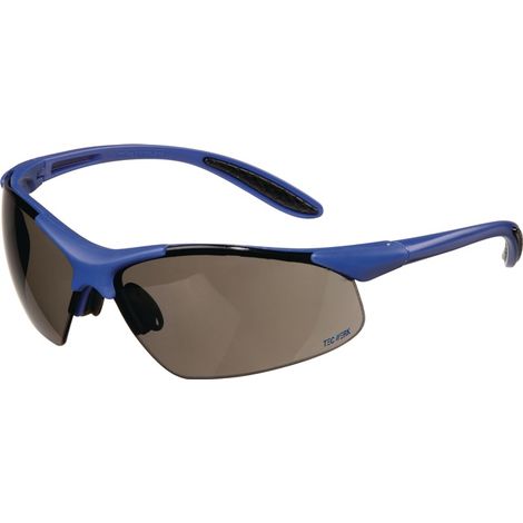 Schutzbrille DAYLIGHT PREMIUM EN 166 Bügel dunkelblau,Scheibe smoke PC TECWERK