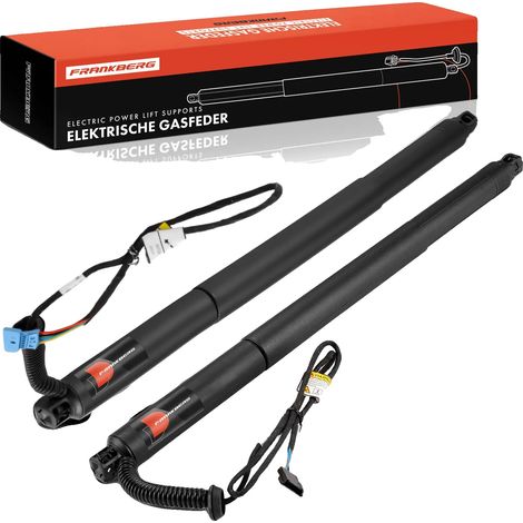Gasfeder, Länge 600 mm, Hubdurchmesser 139 mm, Kompatibel mit Luxus-SUV Modell F26 2014-2018, OEM-Nr. 51247339431, 51247339432 (1/5)