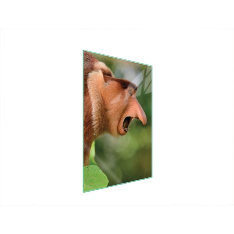 Glasschneidebrett 35x52 NOSACZ (1/5)