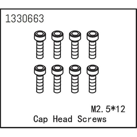 Cap Head Screws M2.5x12
