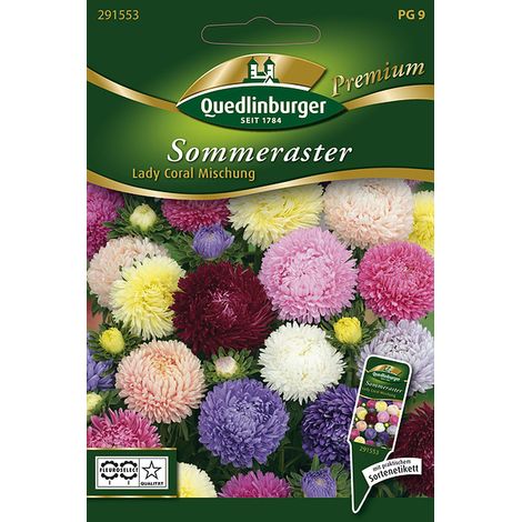 Quedlinburger Saatgut – Reine-marguerite Lady Coral en mélange – Graines de fleurs, hauteur env. 60 cm, environ 30 plants