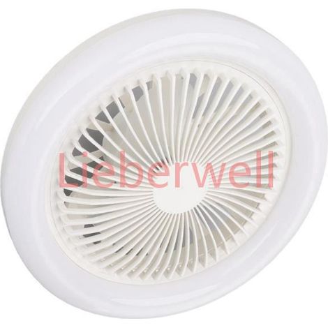 Duokon Lumière de ventilateur de plafond Lampe de ventilateur de plafond 36W 9,8 pouces Petite lampe de ventilateur LED silencieuse (1/4)