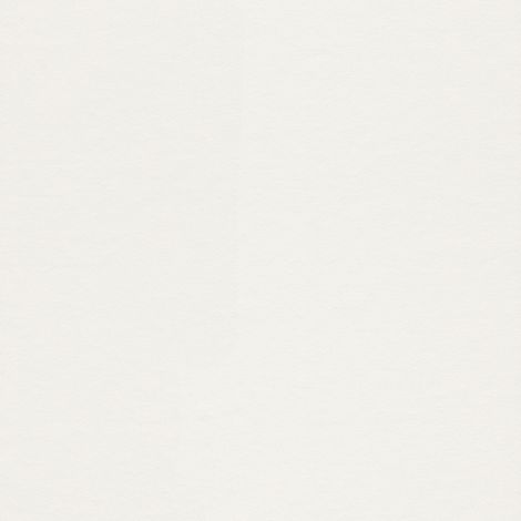 Rasch Wallton 342307 Vliestapete Uni 10.05 x 0.53 m Weiß Wohnzimmer Flur Büro Küche Wohnräume (1/2)