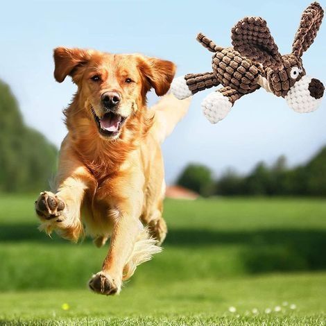 Jouet pour Chien Jouets Couineur pour Chien, Jouet Peluche pour Chiens, Interactifs Chiens Jouets à Mâcher pour Gros Petite Chien(1pc) (1/4)