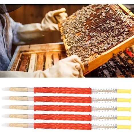 25 aiguilles à greffer pour l'élevage de reines - Compatibles avec le matériel apicole - AquaForge