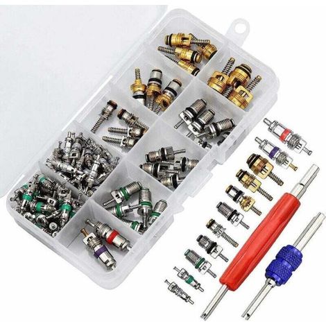 102pcs Noyau de Valve de Climatisation, R134A Noyaux de Tige de Soupape de Climatisation Automobile avec Outil de Suppression pour la Réparation de l'Air de Voiture