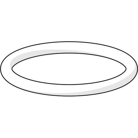 HANSA Set di O-Ring HANSA d 24,0 x 2,0, 59911835
