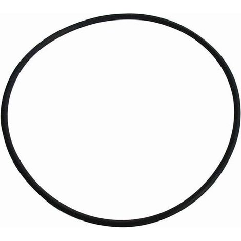 -Ersatzteil O-Ring 50 x 1,5 Neutral