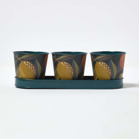 HOMESCAPES Set of 3 Herb Pots with Tray, Citrus Print (1/5)