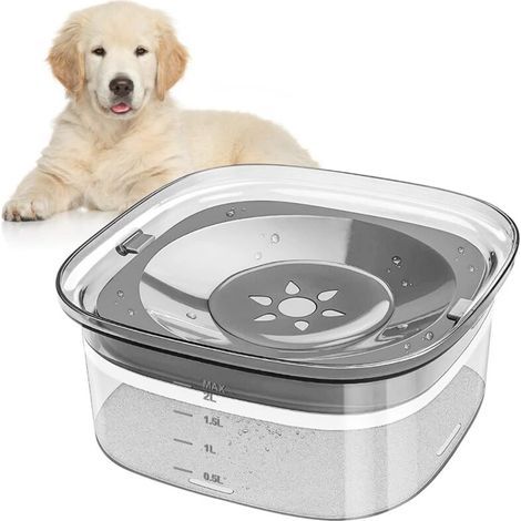 Gamelle anti-déversement pour chien, gamelle d'eau anti-déversement pour chat 2L, gamelle anti-déversement (transparent)