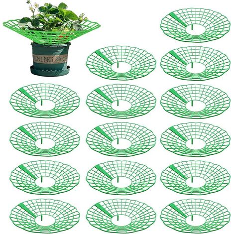 20Pièces Support Fraisier, Plastique Amovible Supports pour Fraises Support de Culture de Fraises pour Fraise, Légume, Fleur, Plante (Vert) (1/5)