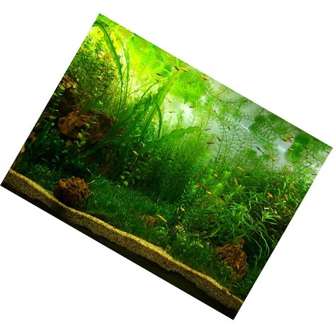 Affiche décorative adhésive en PVC, motif herbe aquatique, pour aquarium (122 x 50 cm) (1/5)