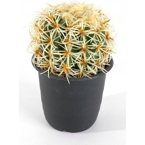 KAKTUS Blütenkugel 16,5cm  8623501400