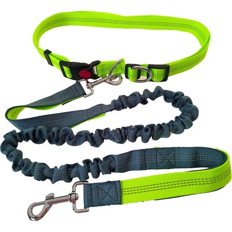 Hands Free Dog Leash Adjustable Belt Green and Elastic Retractable Double Grey Handle for Jogging with Reflective Stitching (1/5)