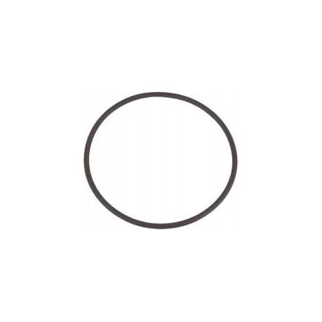 14454781 Guarnizione O-ring NUOVA originale olandese (1/2)