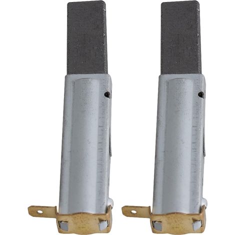 Pieces de rechange pour moteur d'aspirateur (balais de charbon) - Boîtier gris - Lot de 2 (1/5)