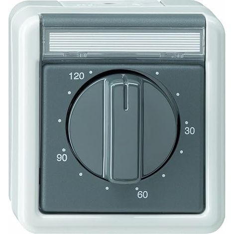 GIRA 032130 GRIS COMMUTATEUR ÉLECTRIQUE (1/3)