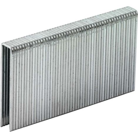 2000 grapas 4x12 mm (630901000)