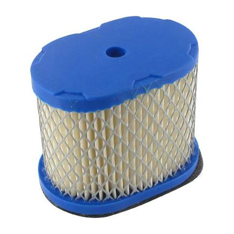 Filtre a air Briggs et Stratton Intek series 121600 (1/4)