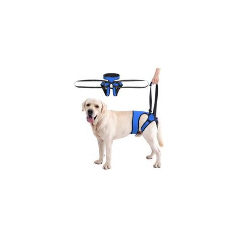 Harnais de Soutien Ajustable pour Chien, Harnais de Soutien pour Pattes arrière,Aide à la Mobilité et aux Déplacements, Support pour Pattes Arrière des Chiens de Toutes Tailles(L) (1/5)