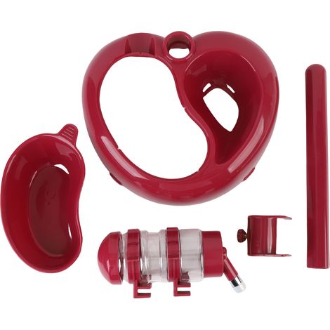 Distributeur d'eau debout pour animaux de compagnie, mangeoire réglable en hauteur, Kit de bol pour chien en forme de cœur, vin rouge (1/5)
