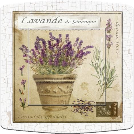 Interrupteur décoré lavande