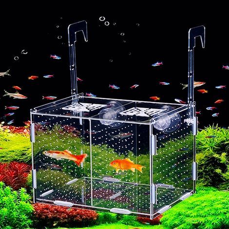 Breeding Box, Acrylic, Transparent, 2 Compartments, Divider, For Aquarium, Shrimp, Fish (1/5)