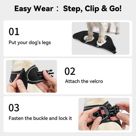 Harnais pour chien réglable et confortable avec laisse, gilet anti-traction respirant pour petits chiens