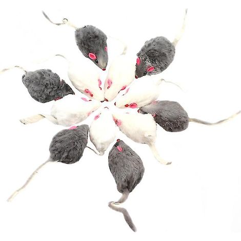 Lot de 12 jouets pour chat (1/3)