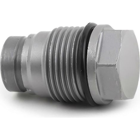 1110010013 Motoren Druckbegrenzungsventil Für-- (1/5)
