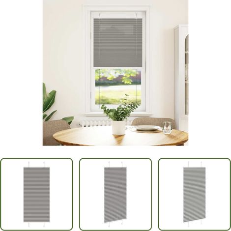 Sichtschutz -  Plissee Anthrazit 60x100 cm Stoffbreite 59,4 cm Polyester (1/5)