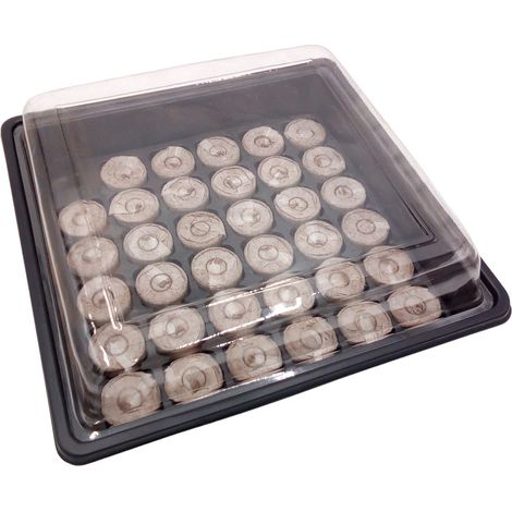 BURI Anzucht-Set Mini Gewächshaus mit 35 Quelltabs Treibhaus Anzuchtschale Frühbeet