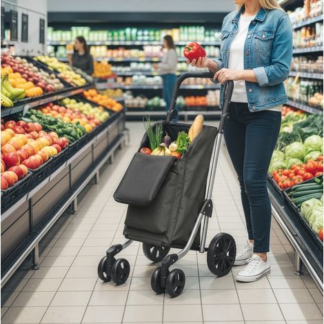 Chariot de courses pliable 46 L avec sac isotherme, poignée réglable, gris HAVRYA (1/4)