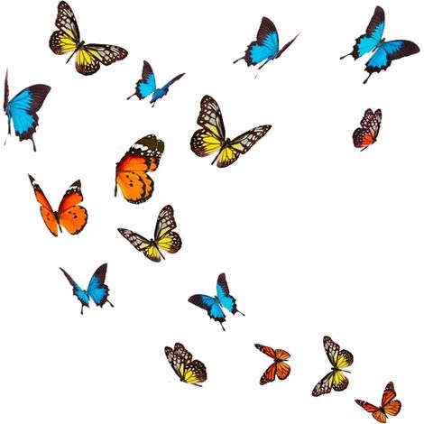Autocollant Mural Papillons (1/2)