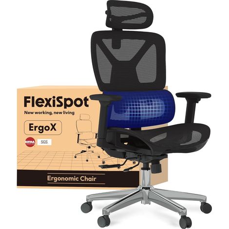 FlexiSpot ErgoX Chaise Bureau en Maille avec Accoudoirs 3D, Noir