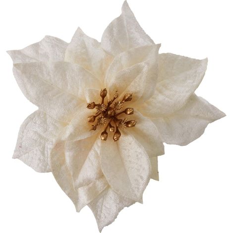 Mömax Dekoblume Poinsetienblüte I Creme (1/4)