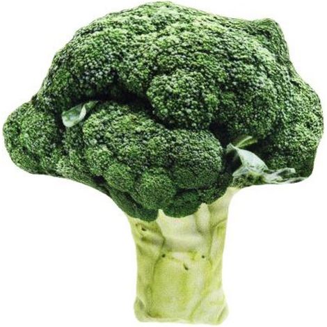 Jouet pour chat en forme de brocoli avec rembourrage en matatabi 3 pièces