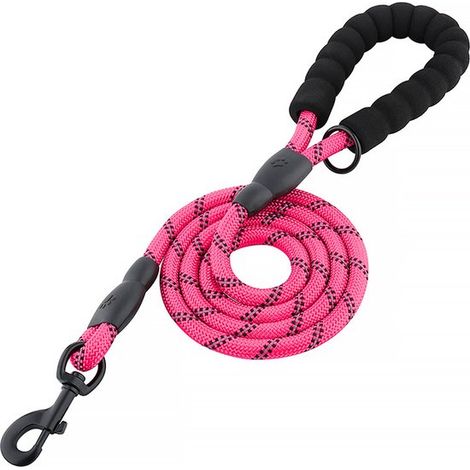 Hundeleine, Trainingsleine für Hunde, gepolstert, weicher Griff, Seil für Welpen und kleine bis mittelgroße Hunde, 1,5 Meter Lila 150 cm × 1,2 cm (1/5)
