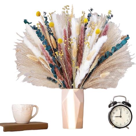 Fiori secchi di erba Pompasowa, 100 pezzi