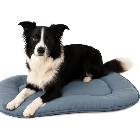 1 - Coussin Chien - Coussin Chat - Tissu Respirant Et Rembourrage Doux - Pour Intérieur Et Extérieur - Bleu - 71x51x3cm