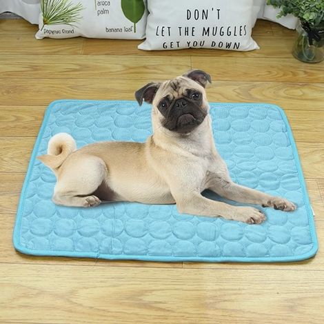 Tapis rafraîchissant pour chien et chat soixante dix sur cinquante cinq centimètres matelas auto refroidissant pour animaux (1/5)