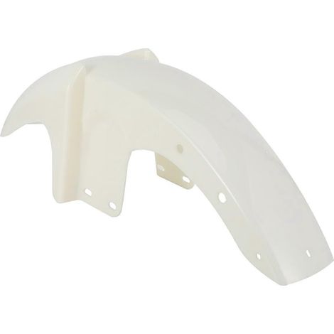 Vorderradkotflügel für Italika-Motorrad (1/5)