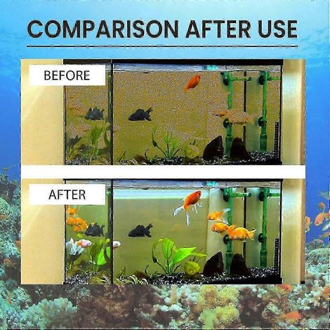 5 comprimés de purification d'eau pour aquarium, contrôle efficace des algues, sans danger pour la vie aquatique (1/3)