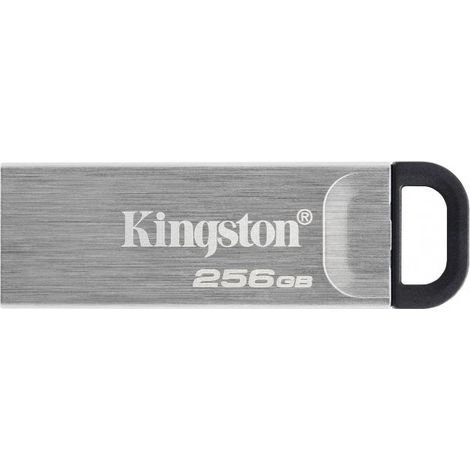 Memoria USB Kingston DTKN/256GB Negro 256 GB (1/5)