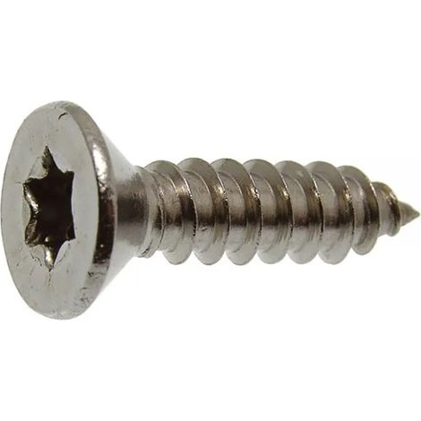Tornillo Euromarine iso 14586 a4 Torx resistente a la corrosión 38 mm