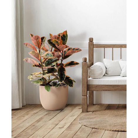 RIO - COPRIVASO GREENER IN RESINA-DUNE / Diam 35 cm