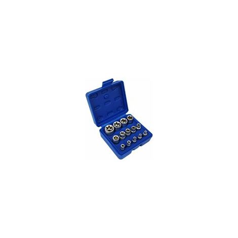 Juego de 14 llaves de vaso Torx plateadas